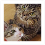 シマとフジ　ツーショット