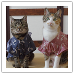 シマ2歳？、フジ1歳