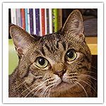 シマ、久しぶりの病院